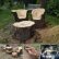 Tree Seats Garden Furniture