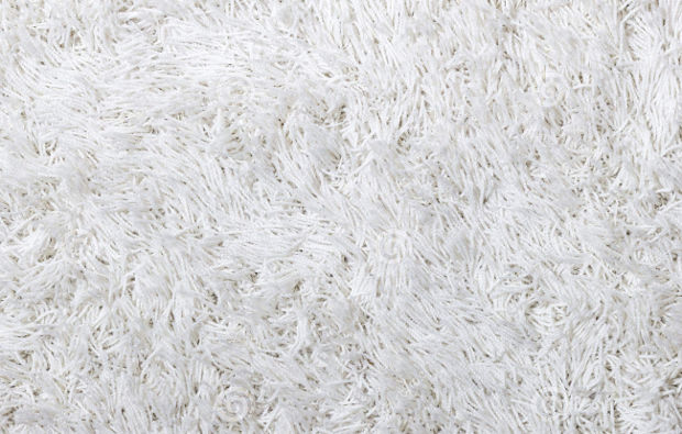 white textured carpet