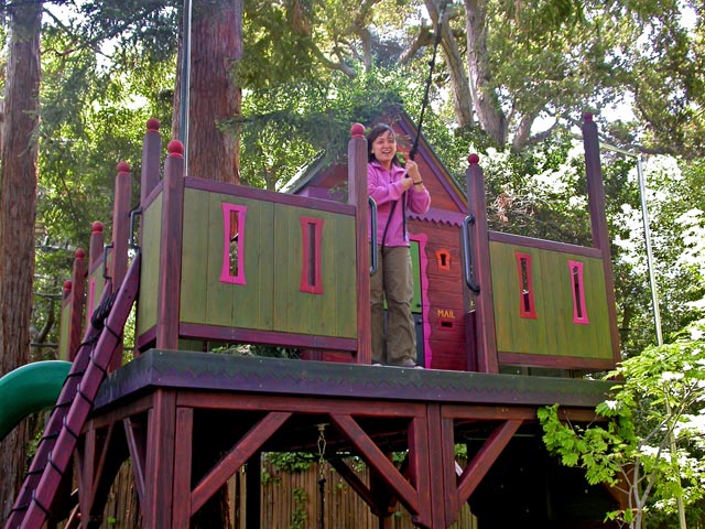 Home Kids Tree Houses With Zip Line Kids Tree House With Zip Line