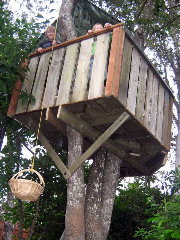 Other Simple Tree Fort Designs Simple Tree Fort Designs Home