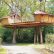 Home Simple Tree House Designs Astonishing On Home In Plans Decor HANDGUNSBAND DESIGNS Awesome 22 Simple Tree House Designs