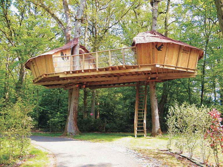 Home Simple Tree House Designs Modern On Home Inside Darts Design