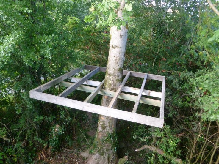 Home Simple Tree House Designs Beautiful On Home Within 23 Best