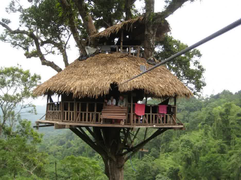 Home Simple Tree House Designs Charming On Home With Traditional Plans BEST HOUSE DESIGN Awesome 18 Simple Tree House Designs