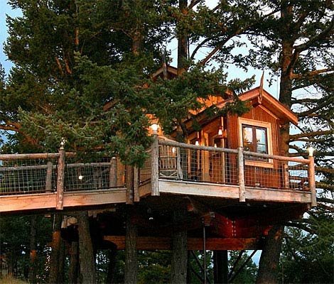 Home Simple Tree House Plans For Kids Marvelous On Home With