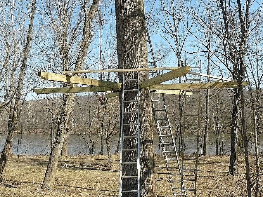 Home Tree House Blueprints For Kids Magnificent On Home Intended