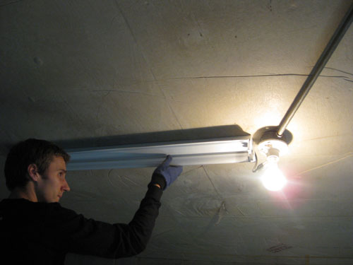 Interior Unfinished Basement Lighting Unfinished Basement