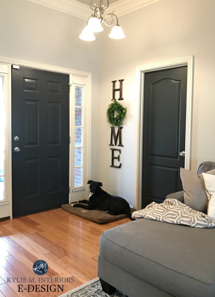 what color should i paint the inside of my kitchen cabinets home white front door innovative on home with the best what color should i paint the inside of my kitchen cabinets home white front door innovative on home with the best