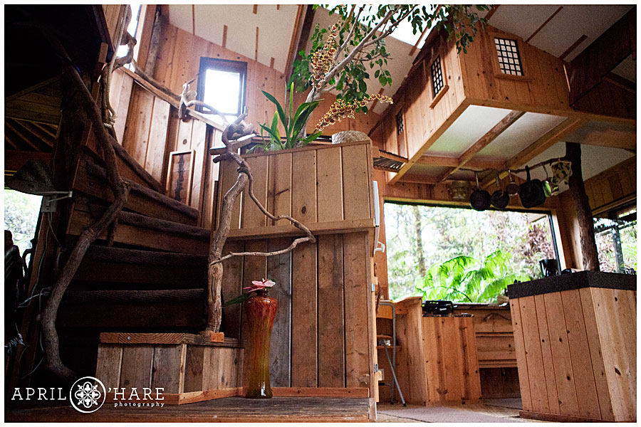 Home Cool Tree Houses Inside Amazing On Home With Regard To 0
