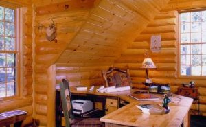 Home Office Cabin
