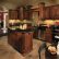 Kitchen Modern Kitchen Wall Colors Fine On Regarding Paint For Kitchens With Dark Cabinets Cabinet 29 Modern Kitchen Wall Colors