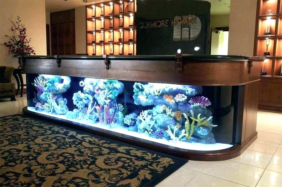 Interior Office Aquariums Office Aquariums Of Marlborough Mass