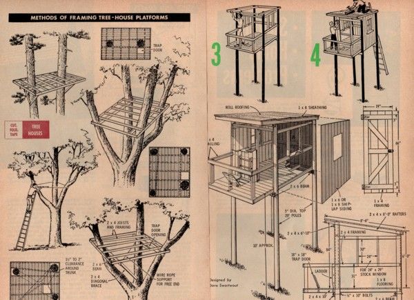 Home Simple Tree House Designs And Plans Innovative On Home Best