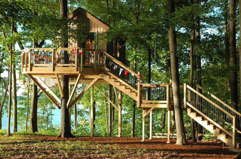 Home Tree House Designs Innovative On Home With Regard To Cool