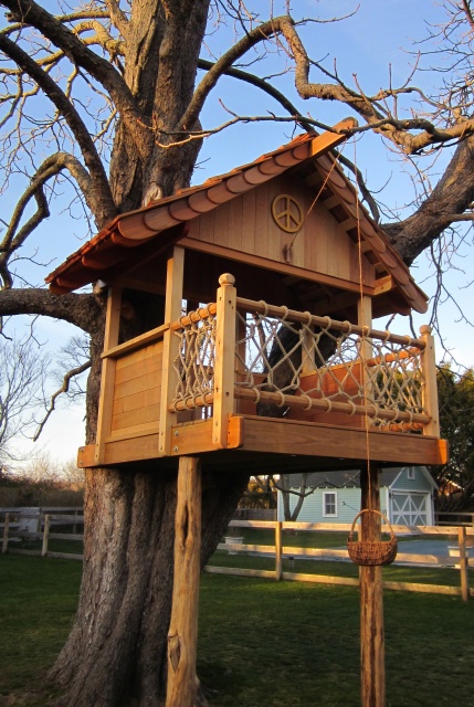 Home Tree House Designs Modern On Home Throughout Backyard