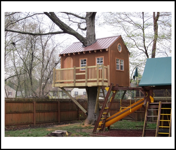 Home Tree House Designs Beautiful On Home Inside 33 Of The Best