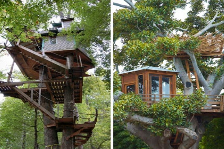 Home Tree House Designs Remarkable On Home Within Simple Building