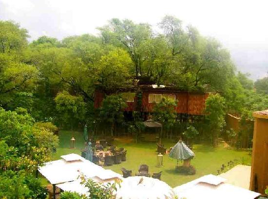Home Tree House Jaipur Tree House Jaipur Photos Tree House Jaipur