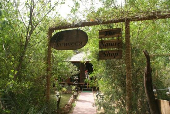 Home Tree House Jaipur Wonderful On Home View Picture Of The