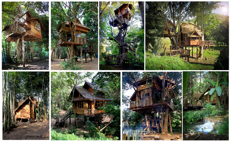 Home Tree House Resort Beautiful On Home And About Us 14 Tree