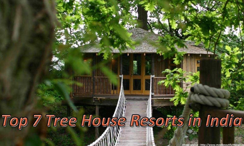 Home Tree House Resort Charming On Home Pertaining To The Water