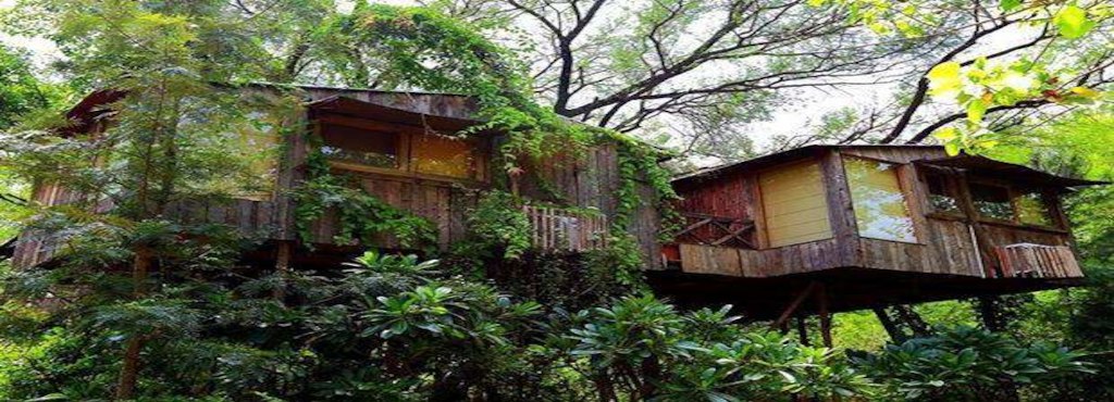 Home Tree House Resort Modern On Home And The Water Hotels In