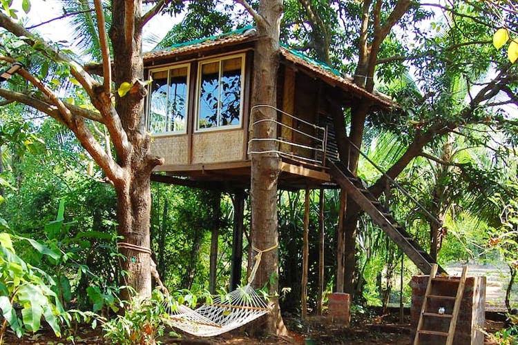 Home Tree House Resort Excellent On Home And Stay In A Treehouse