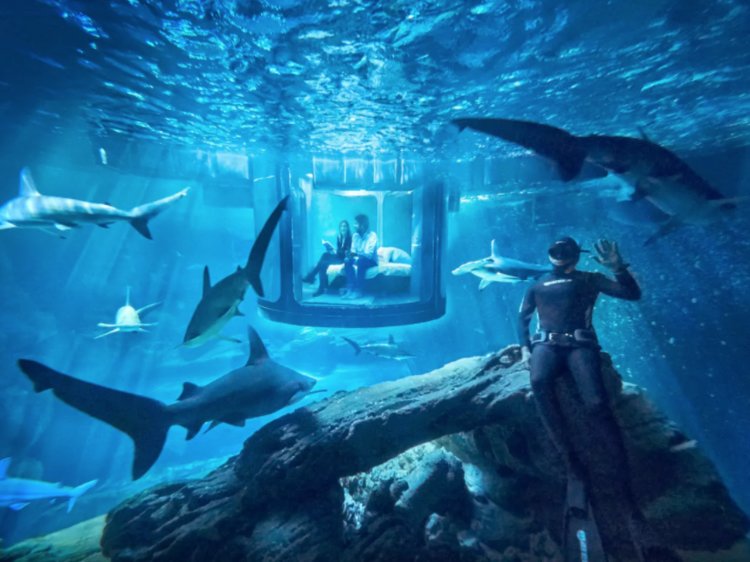 Other Underwater Hotel Room Underwater Hotel Room Maldives