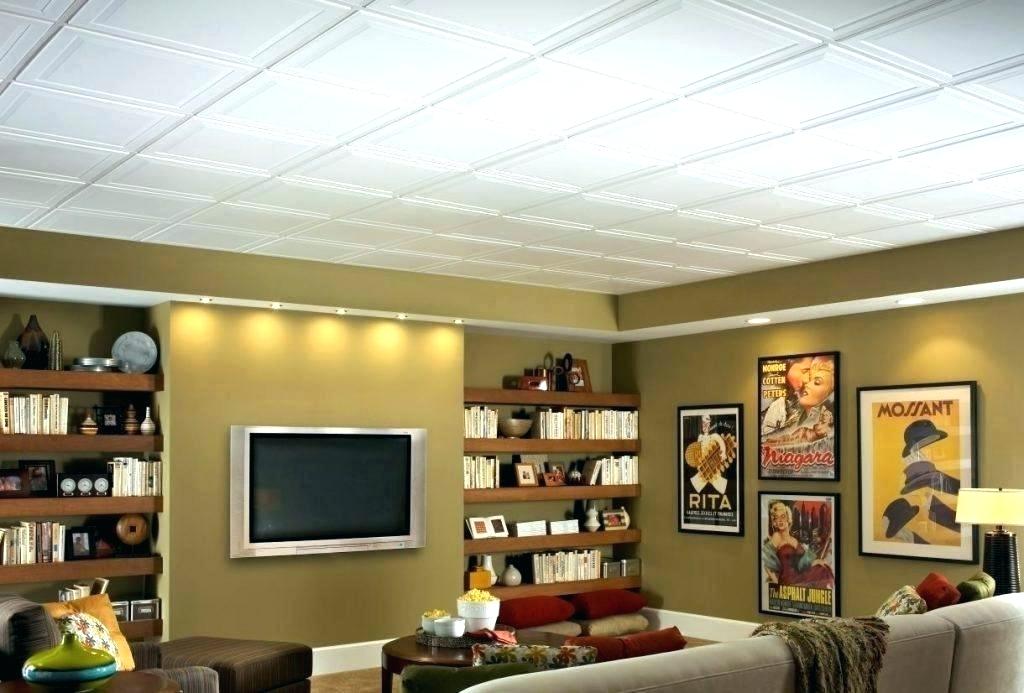 Interior Basement Drop Ceiling Tiles Wonderful On Interior