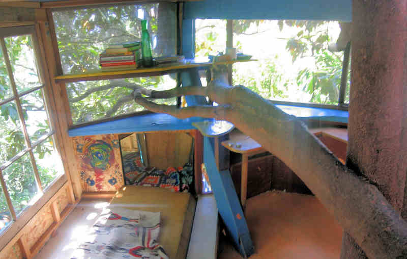 Home Inside Kids Tree Houses Tree Kids Inside Home Design Decoration