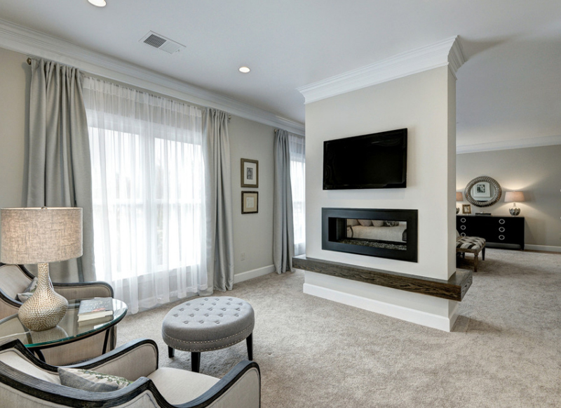 Bedroom Master Bedroom Ideas With Fireplace Contemporary On