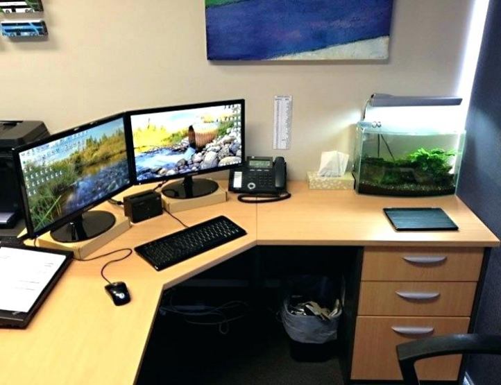 Furniture Office Desk Fish Tank Modest On Furniture Inside Desktop