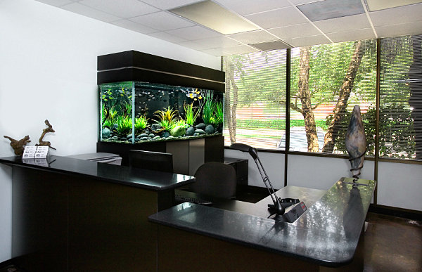 Furniture Office Desk Fish Tank Modest On Furniture Inside Desktop