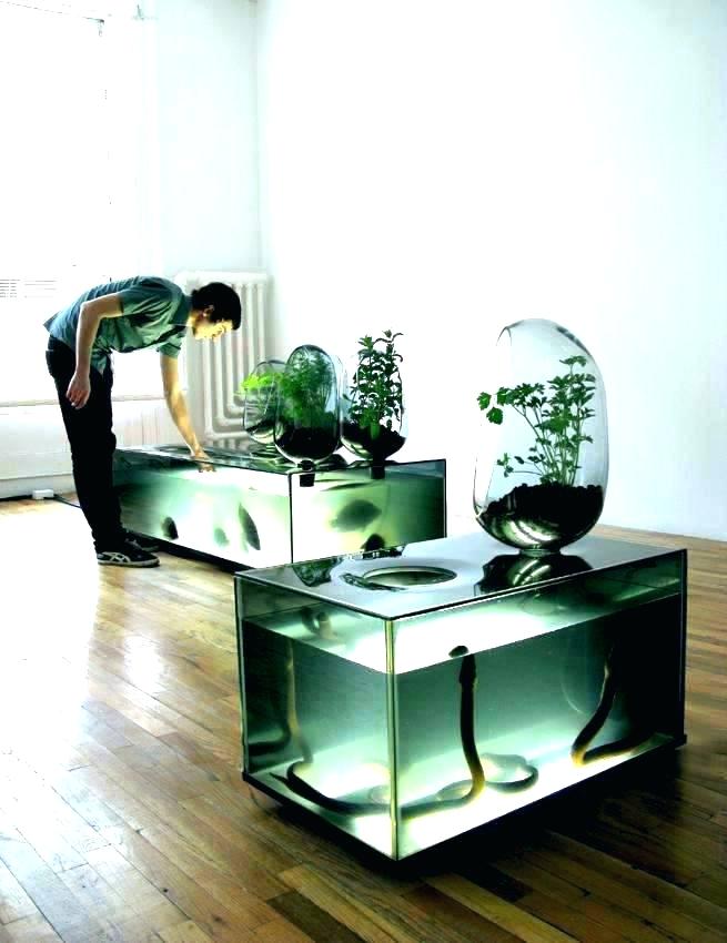 Furniture Office Desk Fish Tank Modest On Furniture Inside Desktop