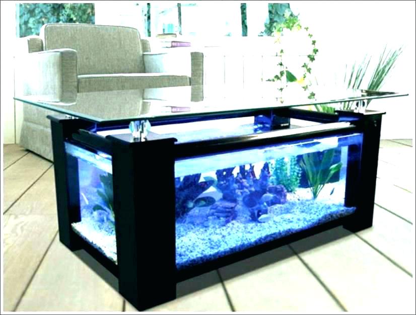 Furniture Office Desk Fish Tank Modest On Furniture Inside Desktop